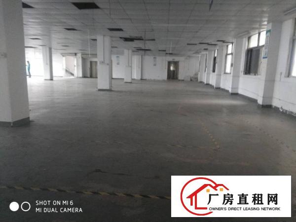  原房东长安厦岗福海路700平厂房出租水电齐全电子仓库