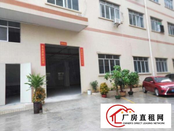  新出独院！长安1400平独院厂房出租，全新装修水电齐全