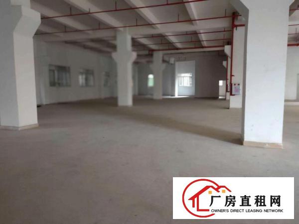  新出独院！长安1400平独院厂房出租，全新装修水电齐全