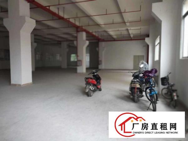  新出独院！长安1400平独院厂房出租，全新装修水电齐全