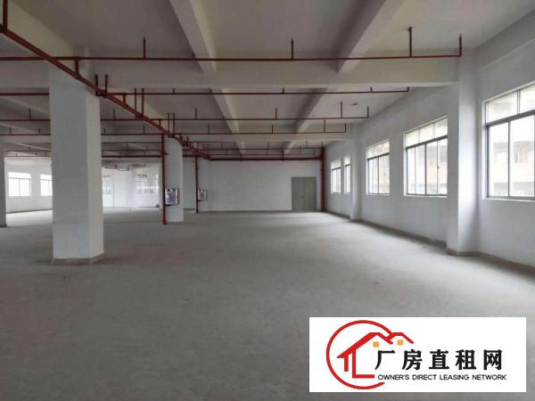  新出独院！长安1400平独院厂房出租，全新装修水电齐全