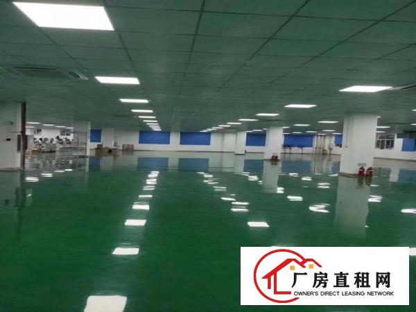  无尘车间长安乌沙2000平厂房出租水电齐全口罩交通