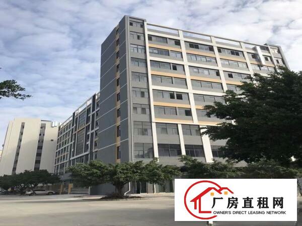  新出沙头南区整层1490平精装修楼上厂房