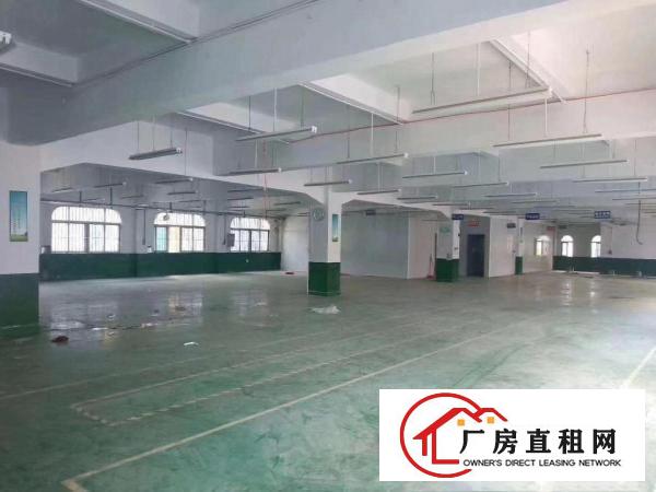  长安厦岗新出独院厂房3900平方招租，带装修可分租