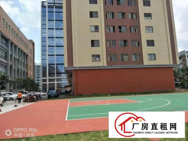  长安镇厦岗原房东红本厂房