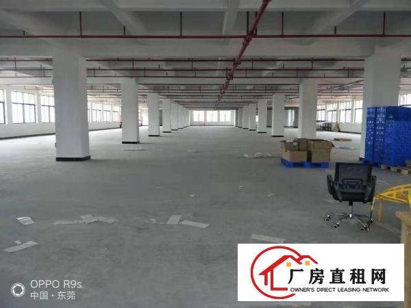  长安镇厦岗原房东红本厂房