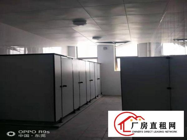  长安镇厦岗原房东红本厂房