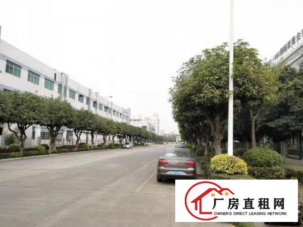  长安镇工业用地原房东红本厂房20000平方可分租，好办理环评