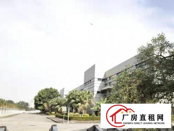  长安镇工业用地原房东红本厂房20000平方可分租，好办理环评