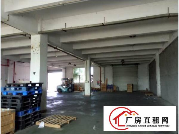  长安镇厦边工业园原房东出租一楼500平厂房行业不限制可分租
