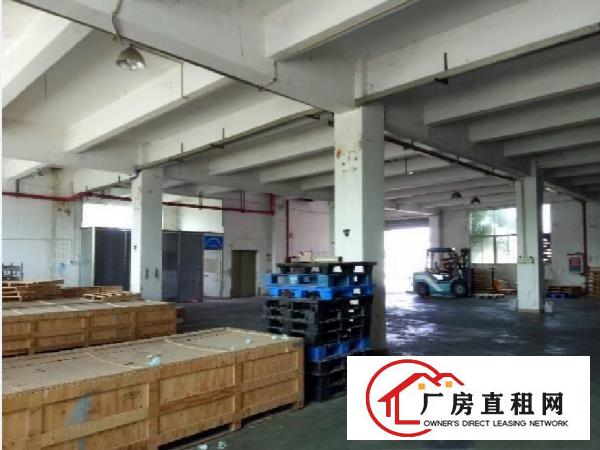  长安镇厦边工业园原房东出租一楼500平厂房行业不限制可分租