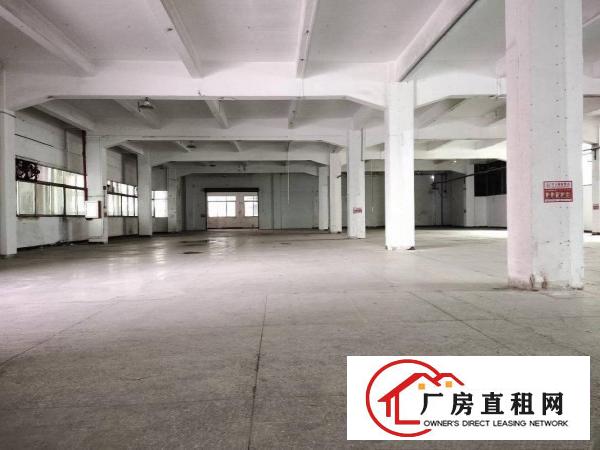  长安新出3层独门独院厂房4800平方，院子空地大