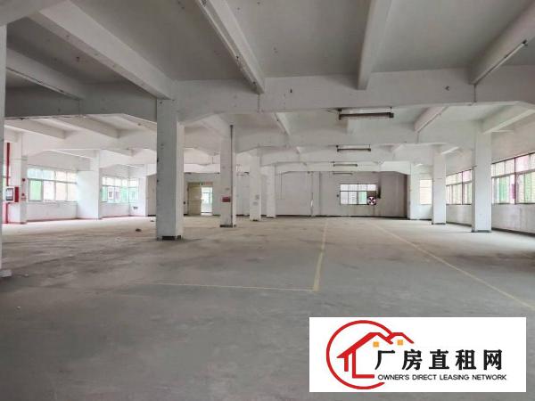  长安新出3层独门独院厂房4800平方，院子空地大