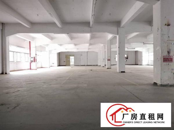  长安新出3层独门独院厂房4800平方，院子空地大