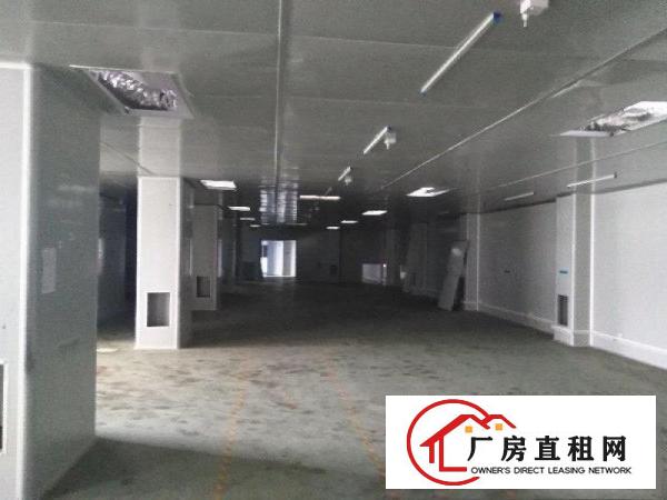  长安上沙楼上1200方厂房出租带无尘车间精装修水电齐全