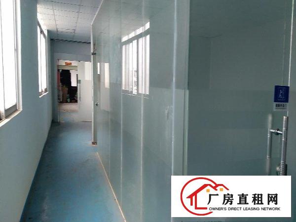  长安上沙楼上1200方厂房出租带无尘车间精装修水电齐全