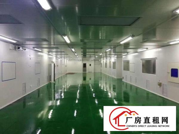  长安上沙楼上1200方厂房出租带无尘车间精装修水电齐全
