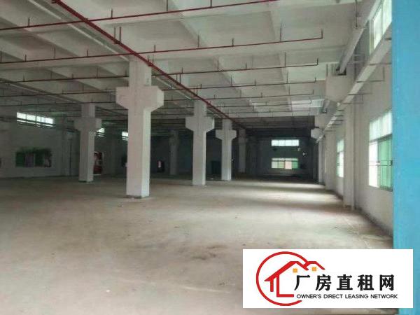  长安乌沙振安路长荣国际旁三层独院5500平方整租分租
