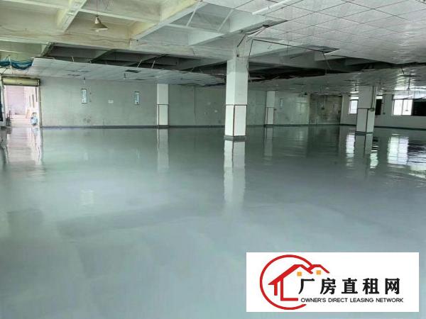  长安锦厦新出三楼1100平方全新地坪漆吊顶，形象大气