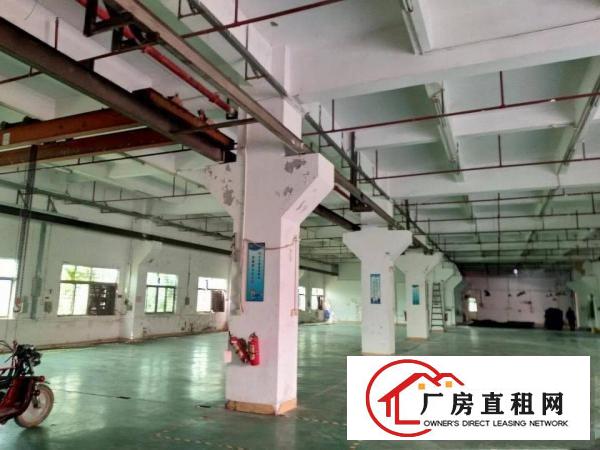  乌沙工业区原房东独院厂房面积5000方，可办环评，1楼高6米