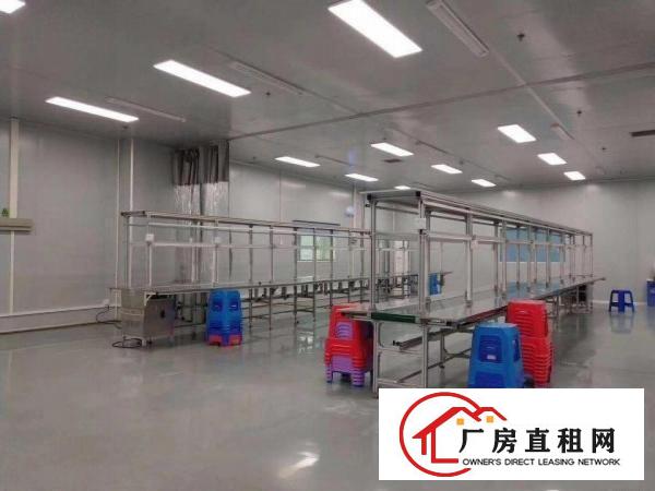  口罩仓库长安沙头原房东3000平厂房出租可分租交通