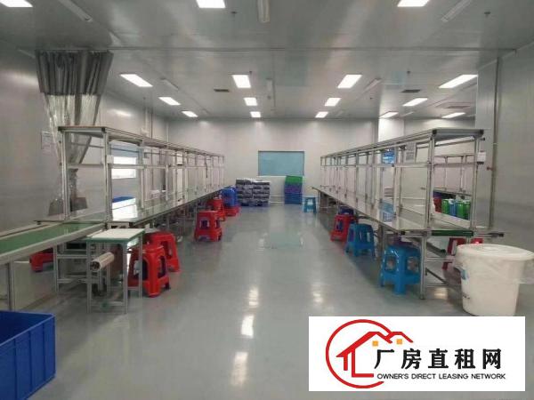  口罩仓库长安沙头原房东3000平厂房出租可分租交通