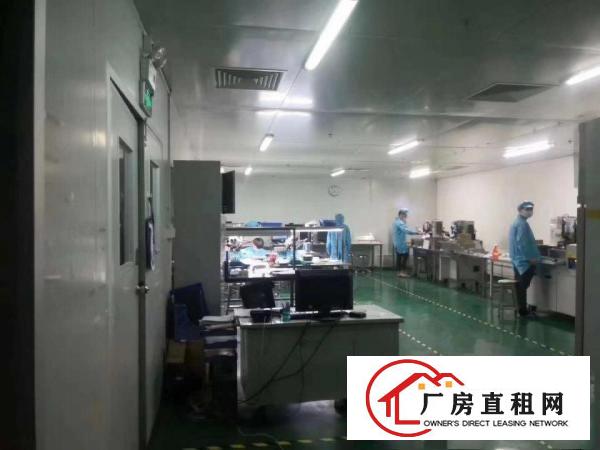  口罩仓库长安沙头原房东3000平厂房出租可分租交通