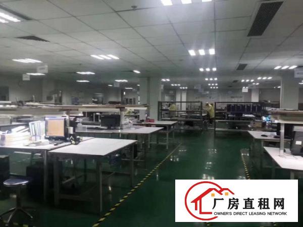  口罩仓库长安沙头原房东3000平厂房出租可分租交通