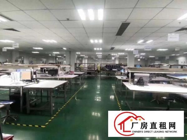  口罩仓库长安沙头原房东3000平厂房出租可分租交通