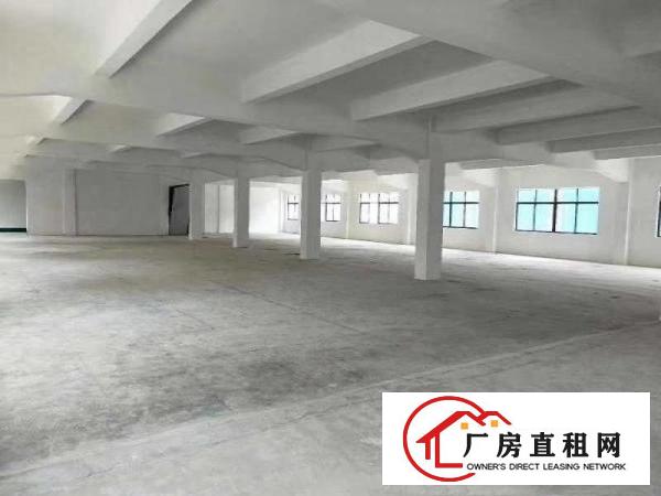  长安镇358省道厦边红绿灯坳头正街5号独院厂房直租