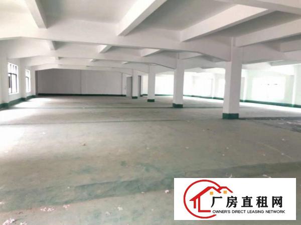  长安镇358省道厦边红绿灯坳头正街5号独院厂房直租
