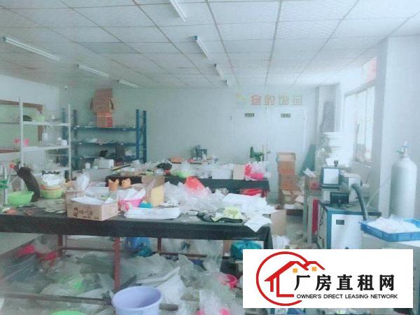  长安镇沙头原房东出租二楼13块200平厂房有天花吊顶可分租