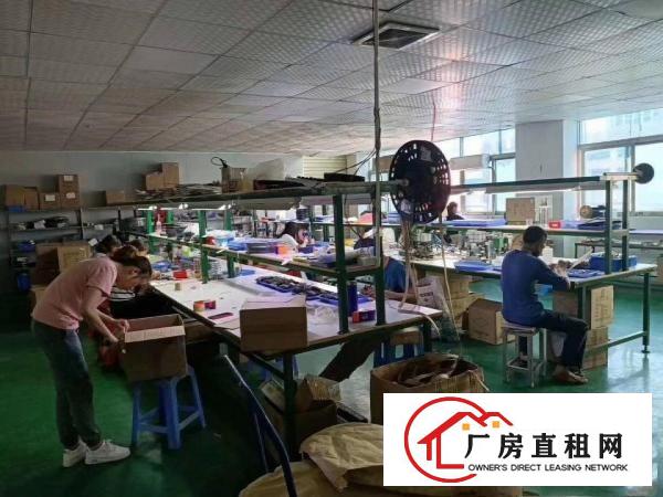  厦边新出二楼带豪华装修900平方米厂房出租