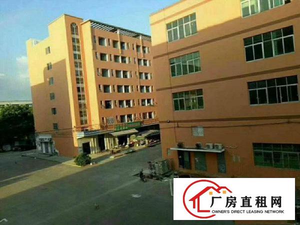  长安乌沙即将空出300平米带装修小加工厂房招租