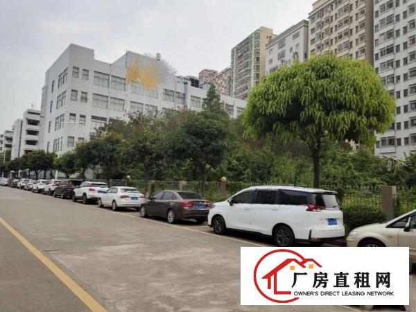  厦岗原房东厂房新空出，带精装修