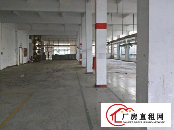  厦岗原房东厂房新空出，带精装修