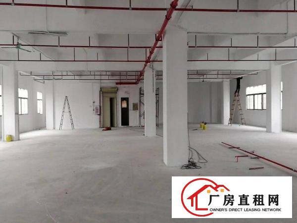  厦岗原房东厂房新空出，带精装修