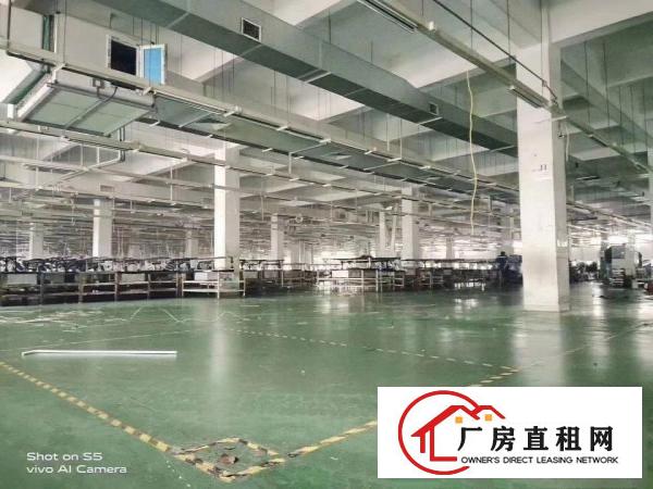  厦岗原房东厂房新空出，带精装修