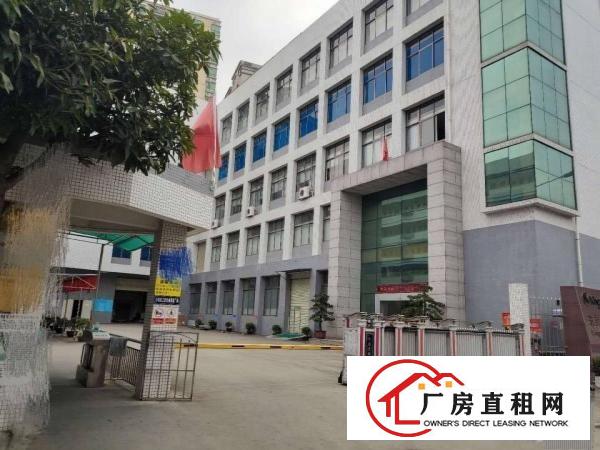  厦岗原房东厂房新空出，带精装修
