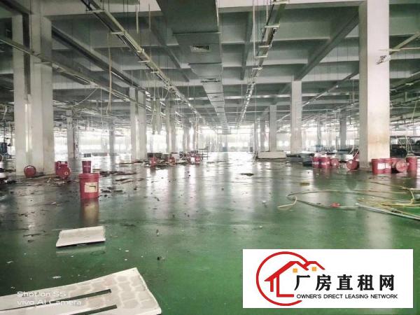  厦岗原房东厂房新空出，带精装修