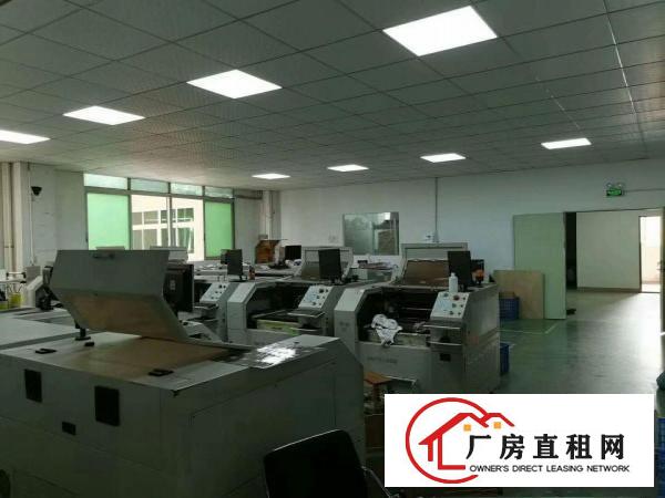  长安沙头新出600平方靓盘，水电齐全，有吊顶，地坪漆！