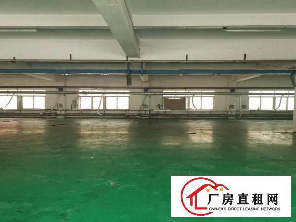  沿江高速出口新空出一楼整层带行车豪华装修厂房