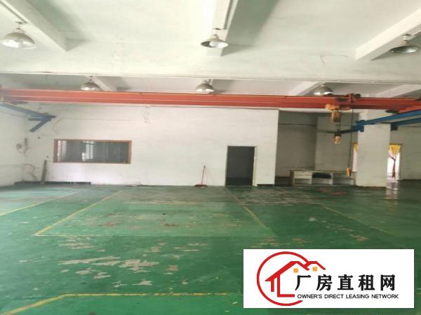  沿江高速出口新空出一楼整层带行车豪华装修厂房