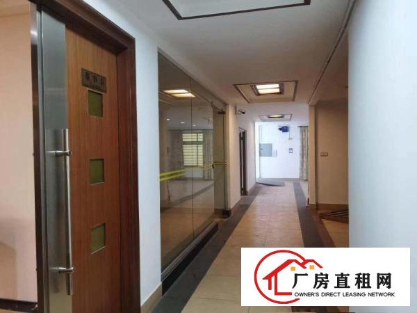  新盘播报长安镇上沙社区主路边二楼新出500平米豪华装修厂房