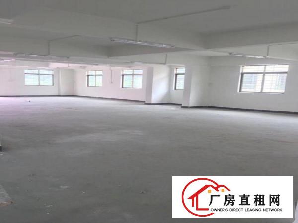  全新厂租，水电消防监控电梯齐全，适合轻轻行业，商务，仓库