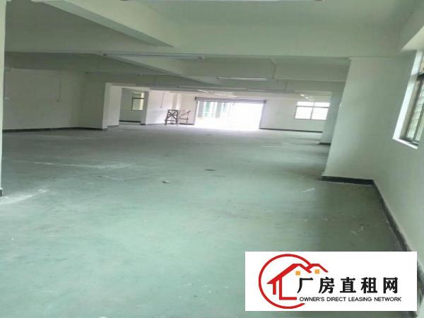  全新厂租，水电消防监控电梯齐全，适合轻轻行业，商务，仓库