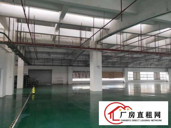  长安新出靓盘带喷涂喷油注塑环评厂房2500平400平起分