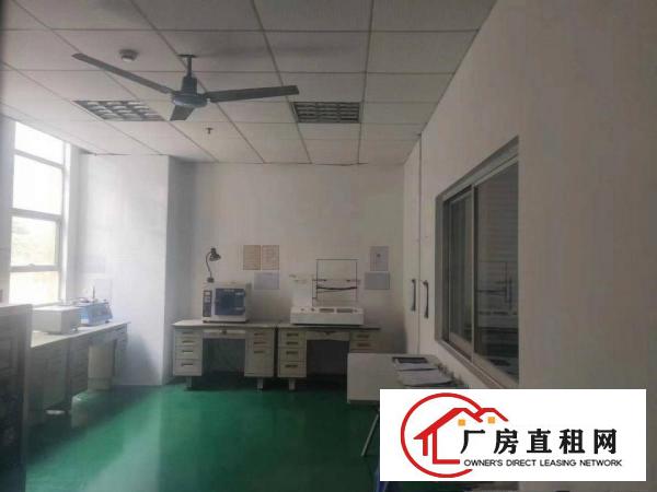  长安新出靓盘带喷涂喷油注塑环评厂房2500平400平起分