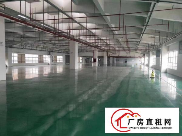  长安新出靓盘带喷涂喷油注塑环评厂房2500平400平起分