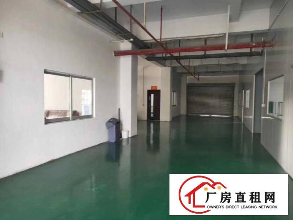  长安新出靓盘带喷涂喷油注塑环评厂房2500平400平起分